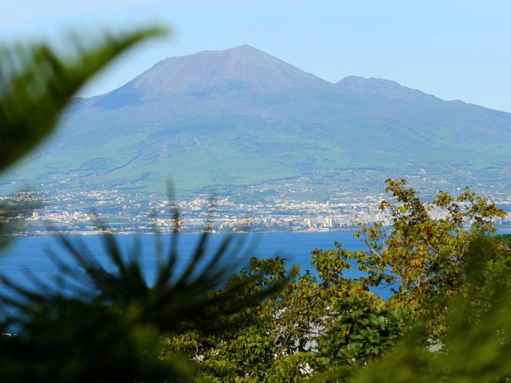 Junior Suite Terrace