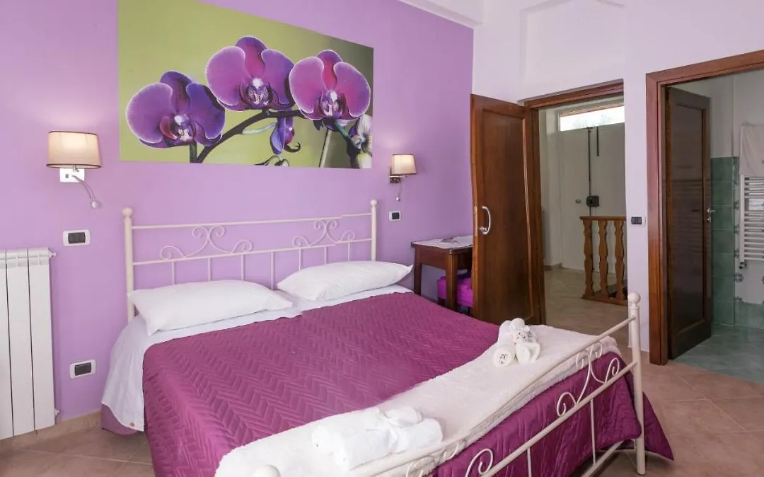 Vivere a colori-1