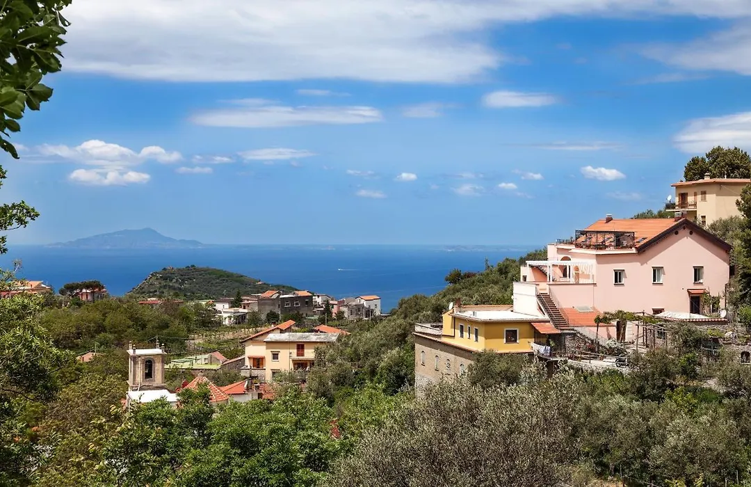 B&B Cassiopea-1